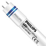 Philips LED Röhre 60cm | 6500K 8W - Master HO